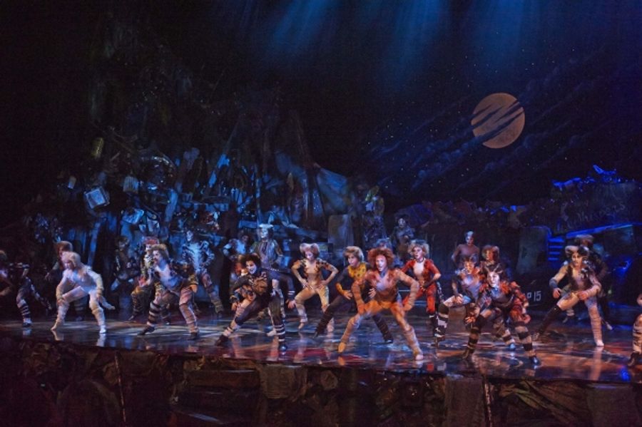 Photo Flash: CATS Continues at the Capitol Theatre Image