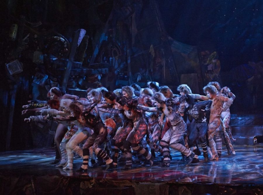 Photo Flash: CATS Continues at the Capitol Theatre Image