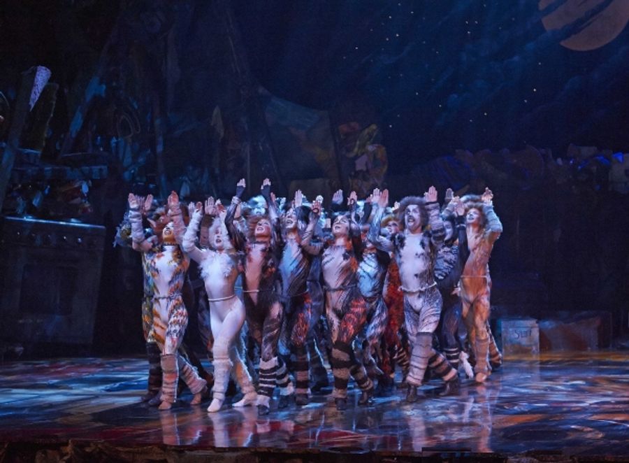 Photo Flash: CATS Continues at the Capitol Theatre Image