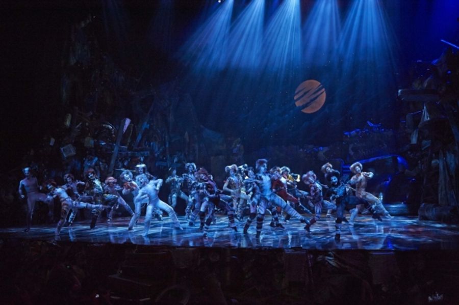 Photo Flash: CATS Continues at the Capitol Theatre Image