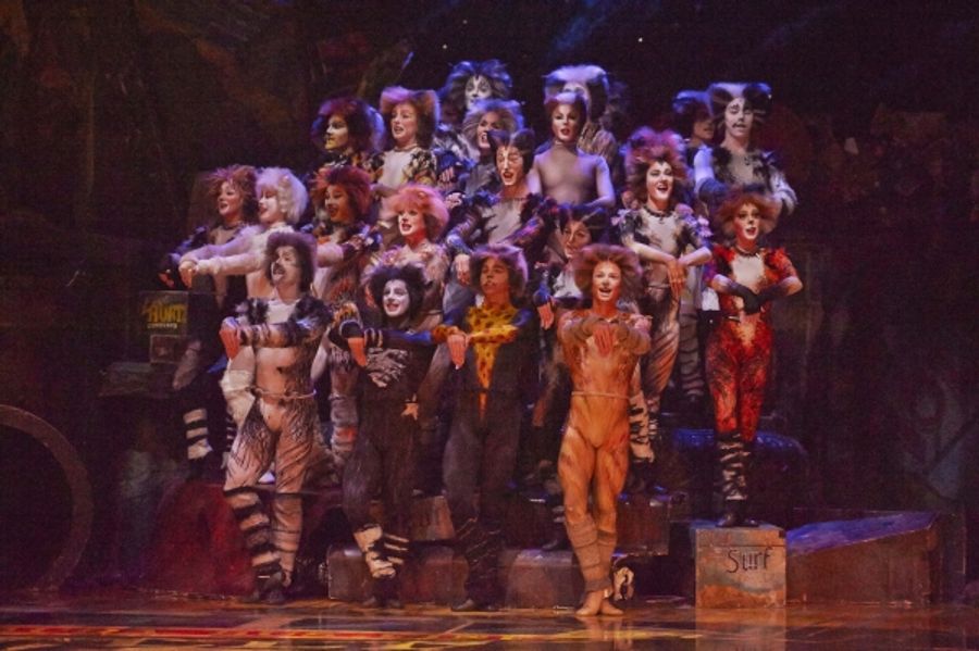 Photo Flash: CATS Continues at the Capitol Theatre Image