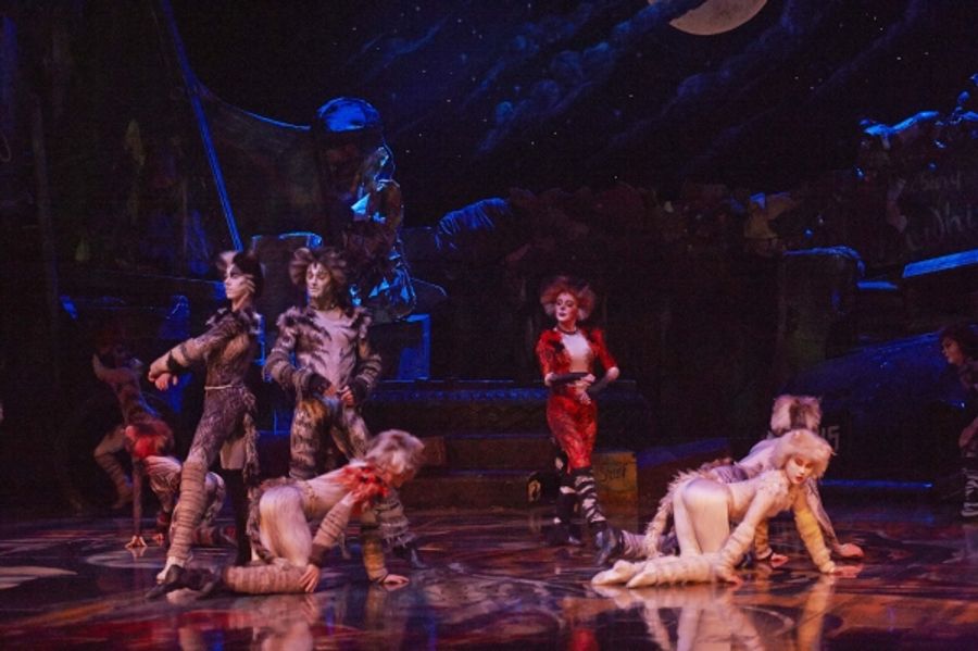 Photo Flash: CATS Continues at the Capitol Theatre Image