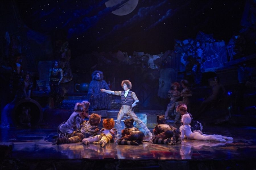 Photo Flash: CATS Continues at the Capitol Theatre Image