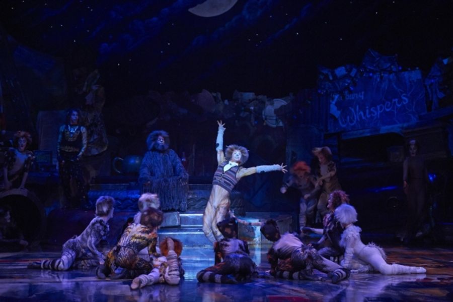 Photo Flash: CATS Continues at the Capitol Theatre Image