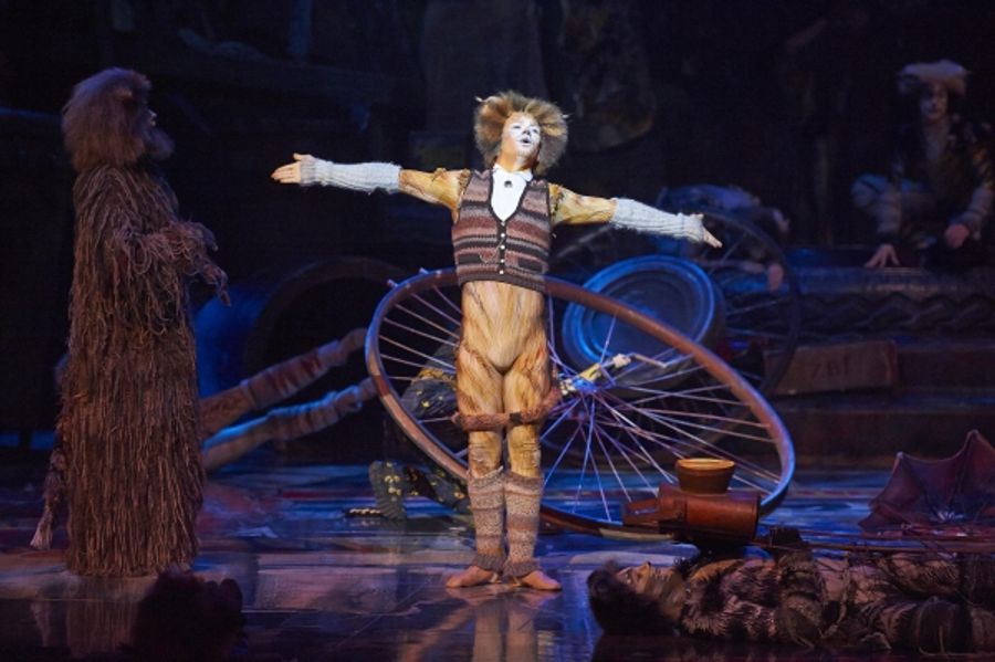 Photo Flash: CATS Continues at the Capitol Theatre Image