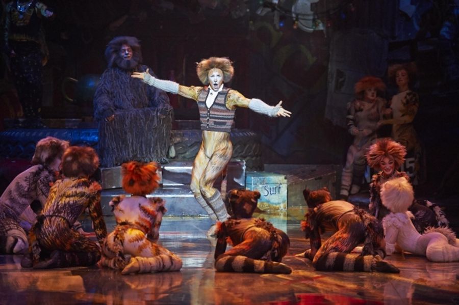 Photo Flash: CATS Continues at the Capitol Theatre Image