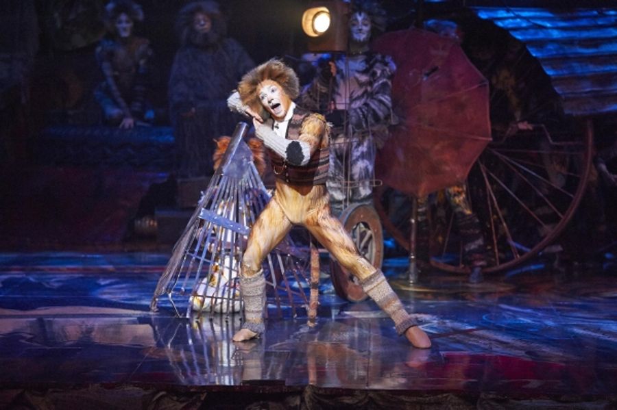 Photo Flash: CATS Continues at the Capitol Theatre Image