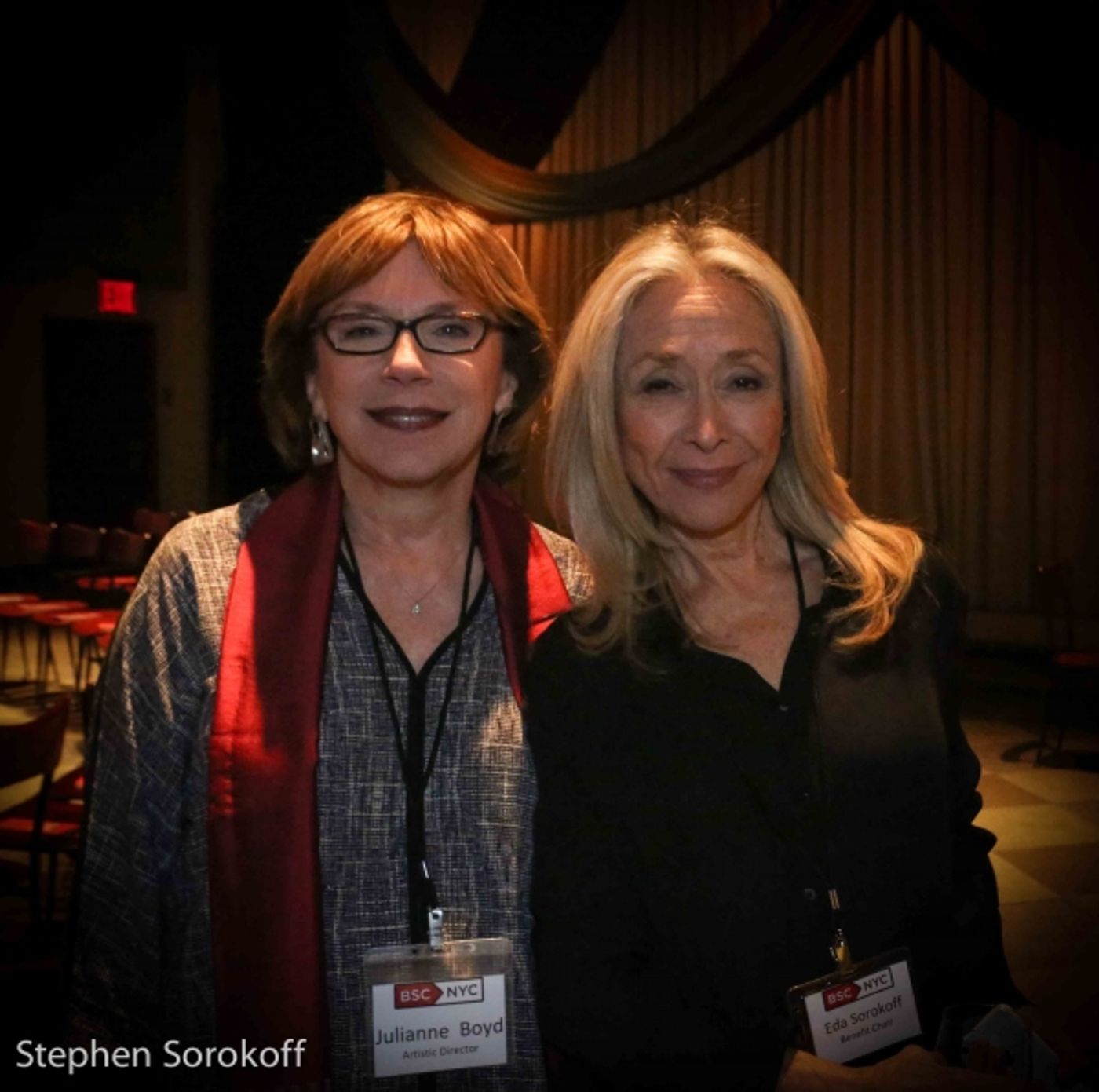 Photo Coverage: Inside Barrington Stage Company's New York City Benefit  Image