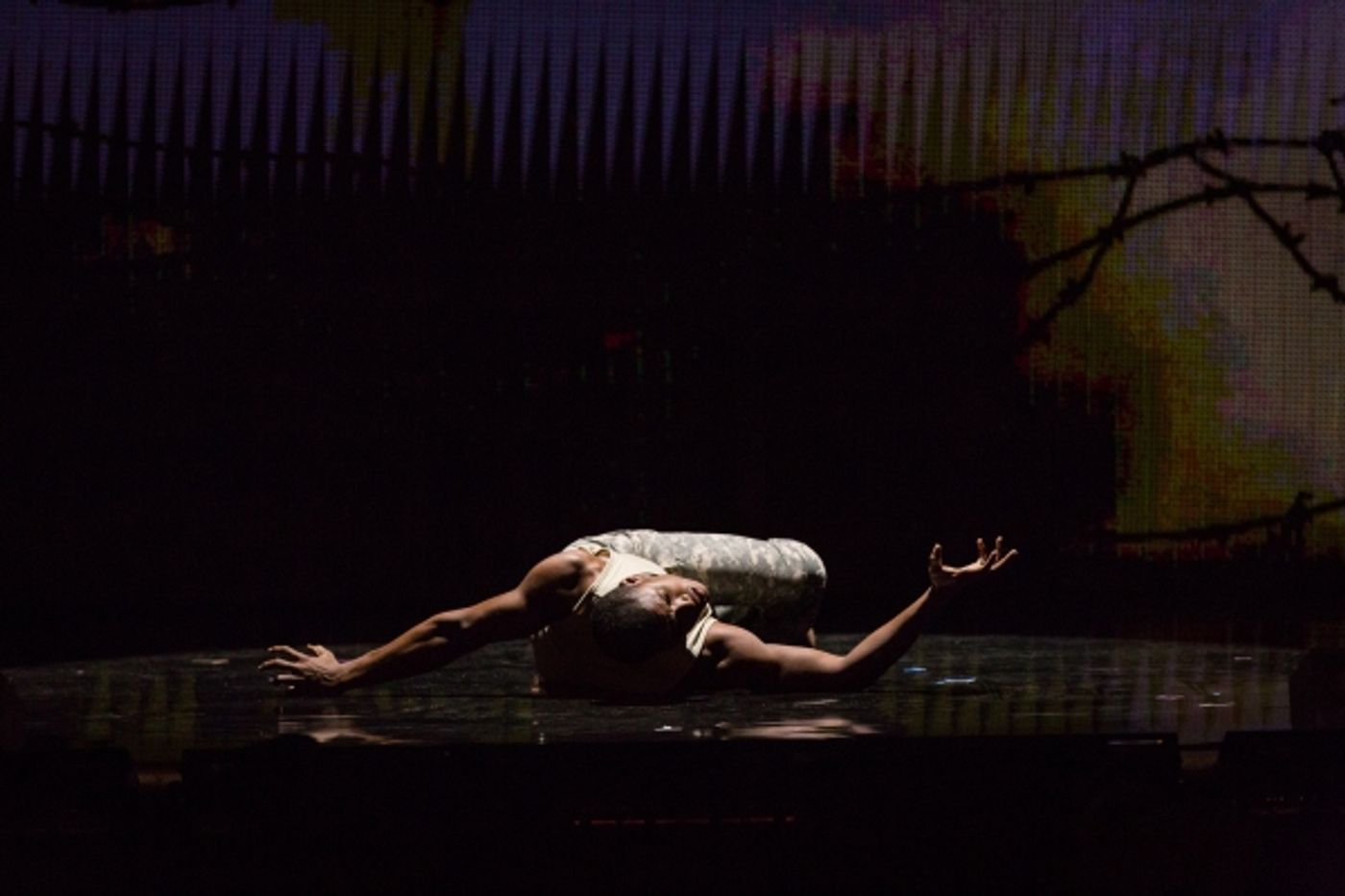 Photo Flash: TED Talks Live Presents War & Peace Photo Flash: TED Talks Live Presents War & Peace Image