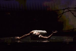 Ricardo Barrett  Photo