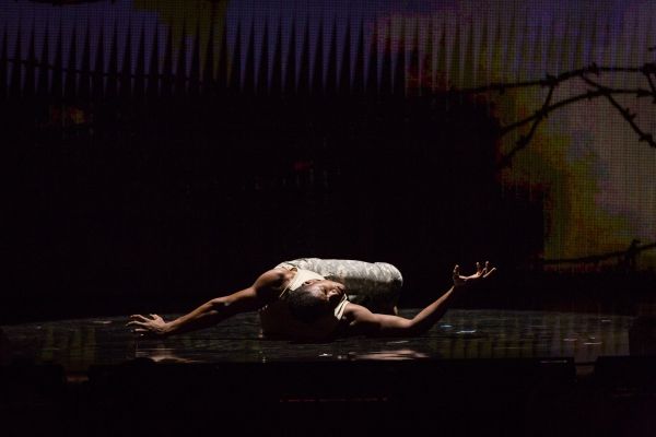 Ricardo Barrett  Photo