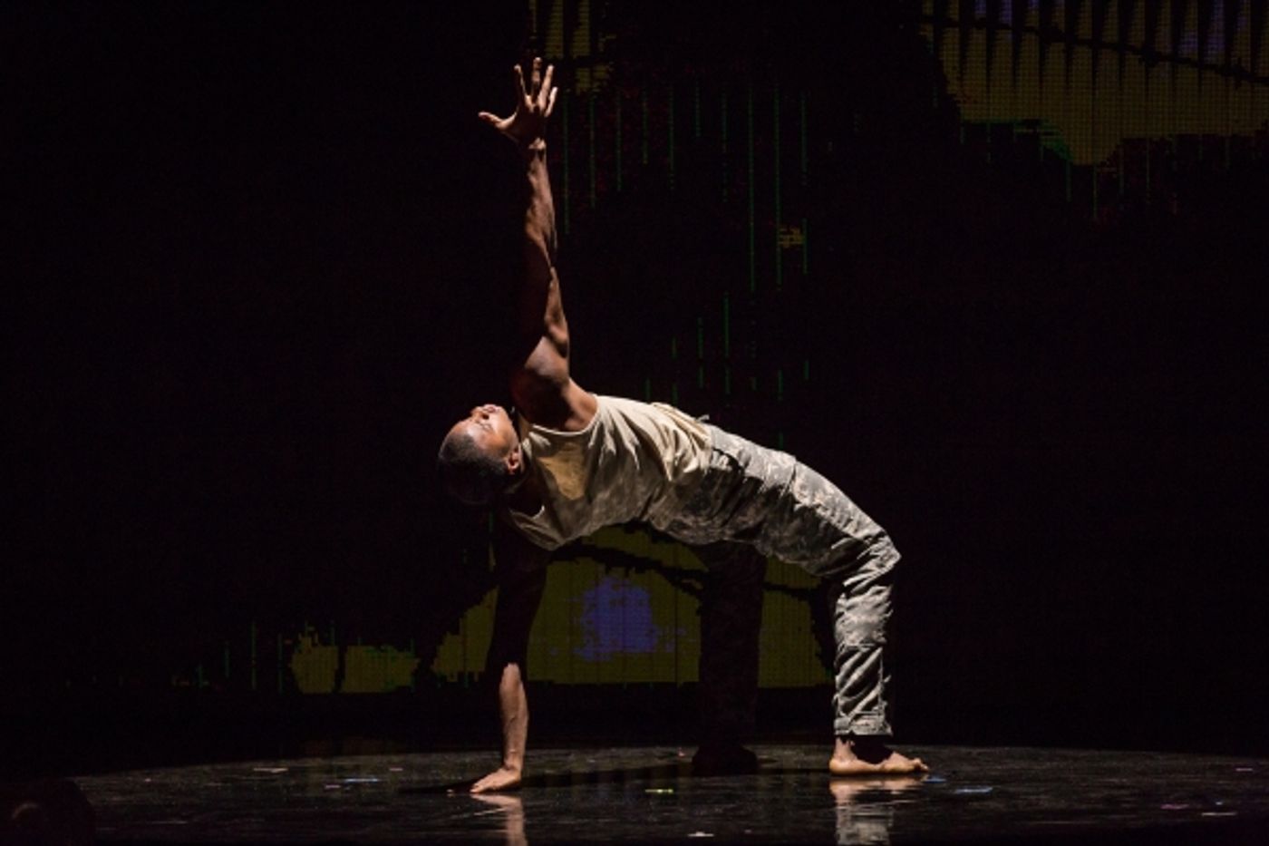 Photo Flash: TED Talks Live Presents War & Peace Photo Flash: TED Talks Live Presents War & Peace Image