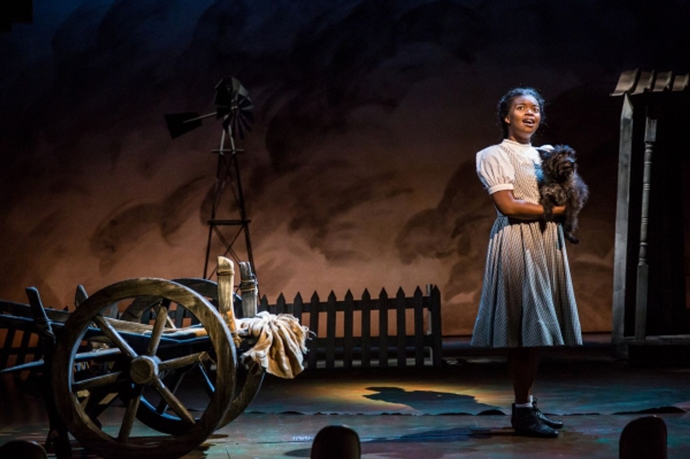 Photo Flash: First Look at THE WIZARD OF OZ at Children's Theatre Company  Image