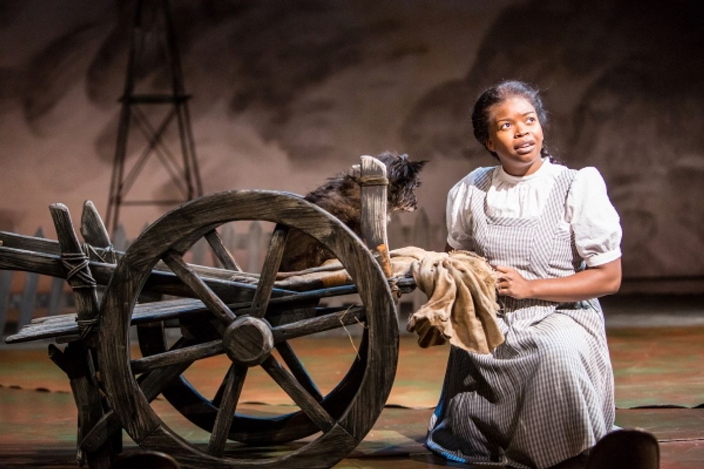 Photo Flash: First Look at THE WIZARD OF OZ at Children's Theatre Company  Image