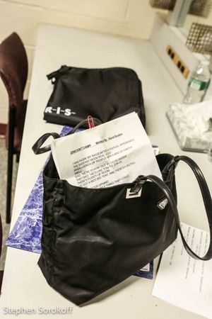 Jamie deRoy Hand Bag @ BroadwayWorld Jamie deRoy Hand Bag Photo