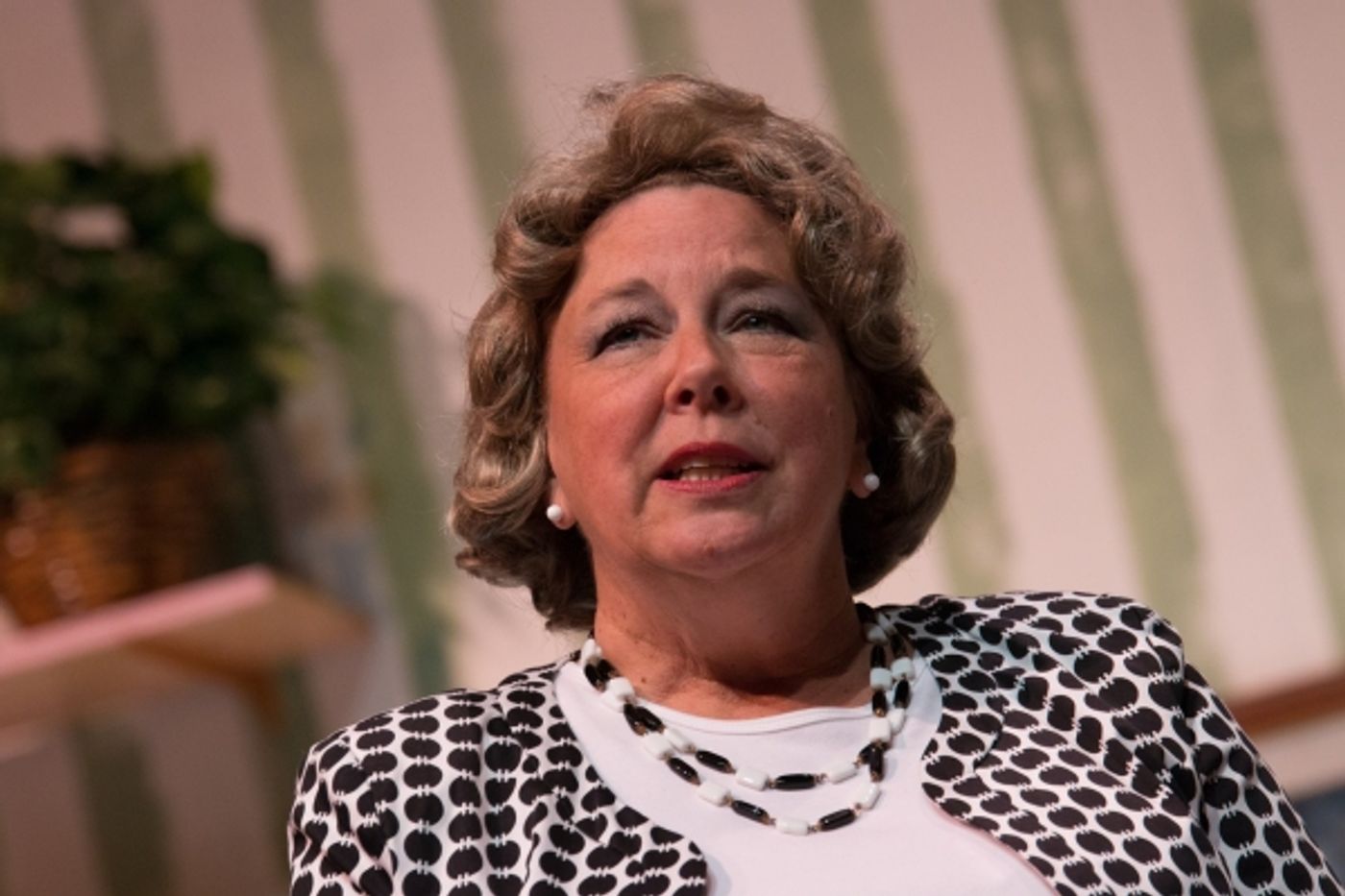 Photo Coverage: First look at Hilliard Art's Council's STEEL MAGNOLIAS  Image