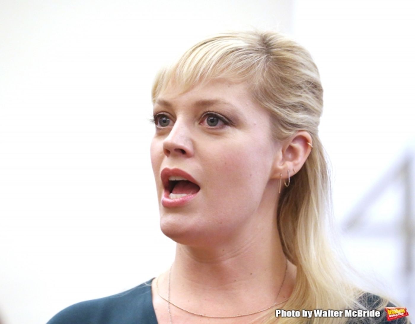 Photo Coverage: National Tour Presentation of BRIDGES OVER MADISON COUNTY  Image