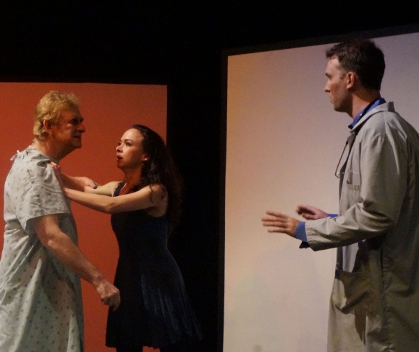 Photo Flash: ShPIeL's World Premiere of the Israeli Political Satire ANGINA PECTORIS  Image