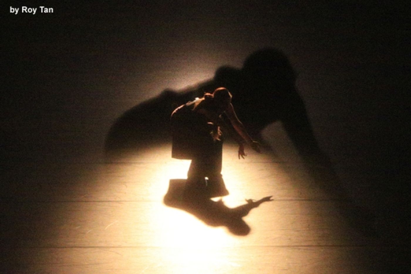 Photo Flash Exclusive: First Look at Russell Maliphant Company's CONCEAL | REVEAL  Image