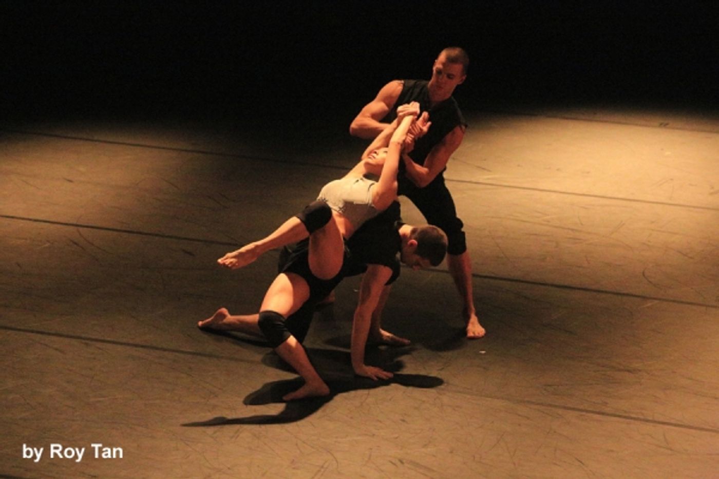 Photo Flash Exclusive: First Look at Russell Maliphant Company's CONCEAL | REVEAL  Image