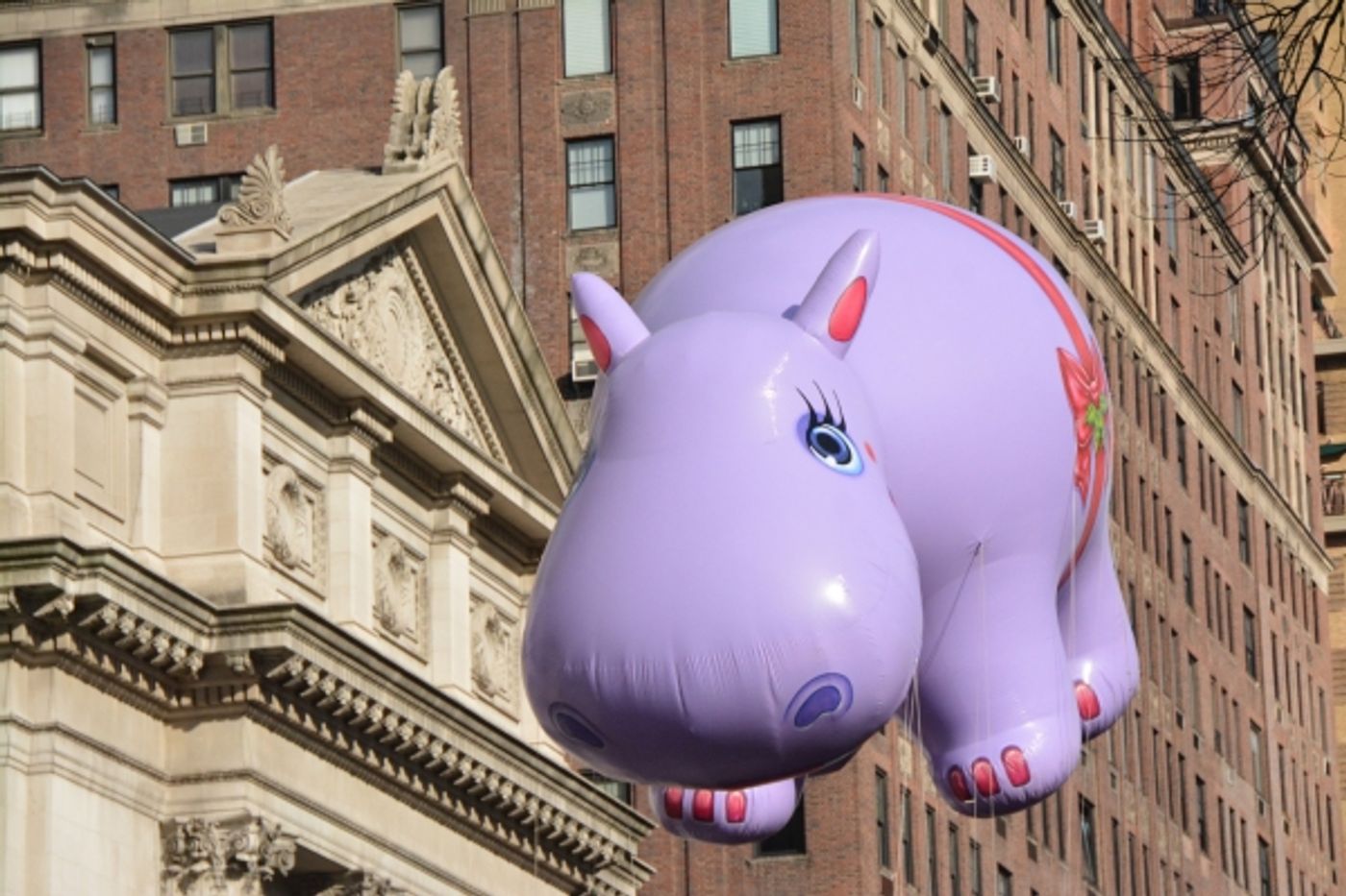 Photo Coverage: Relive the Magic of the 89th Annual Macy's Thanksgiving Day Parade! Photo Coverage: Relive the Magic of the 89th Annual Macy's Thanksgiving Day Parade! Image