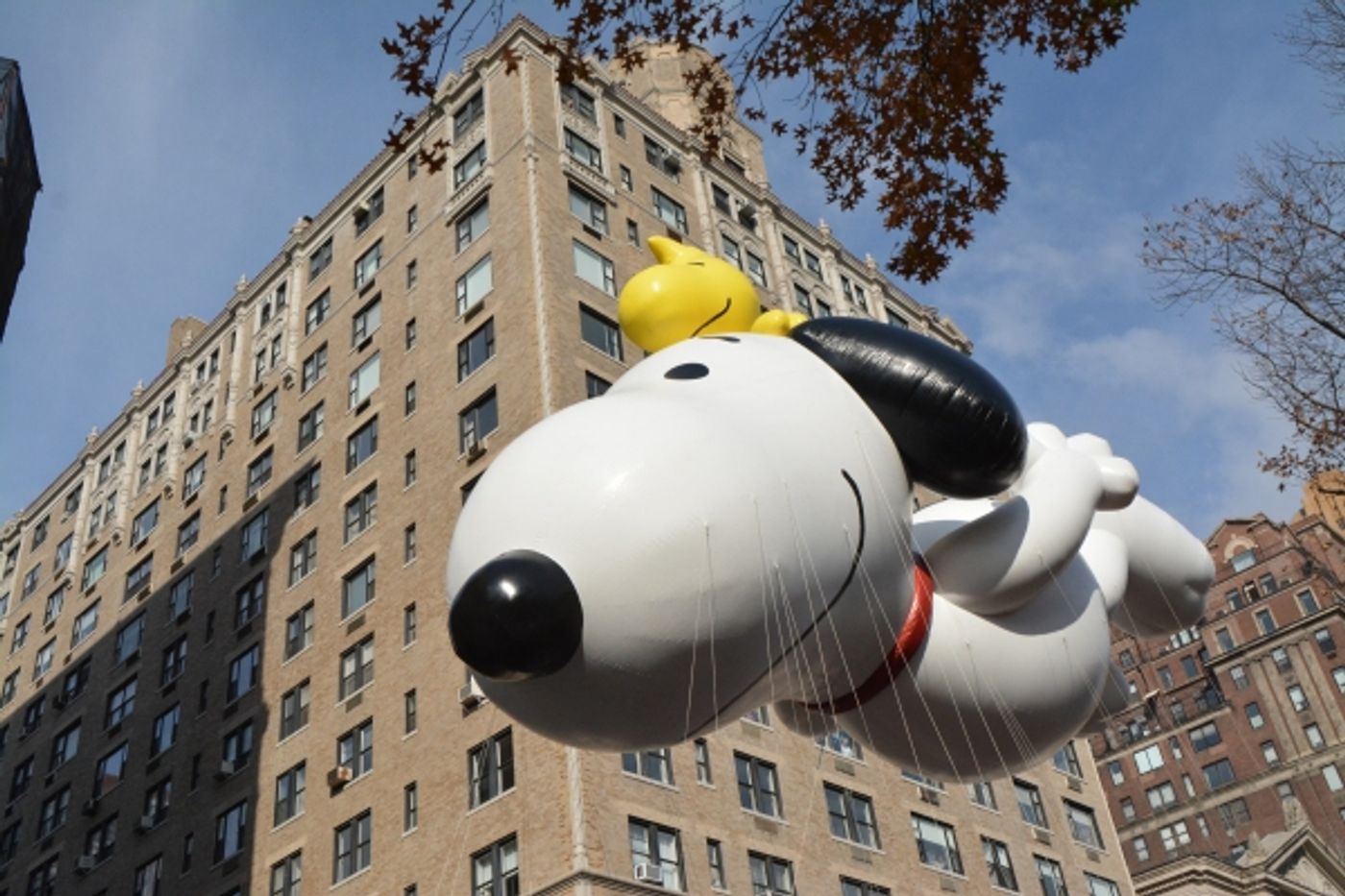 Photo Coverage: Relive the Magic of the 89th Annual Macy's Thanksgiving Day Parade! Photo Coverage: Relive the Magic of the 89th Annual Macy's Thanksgiving Day Parade! Image