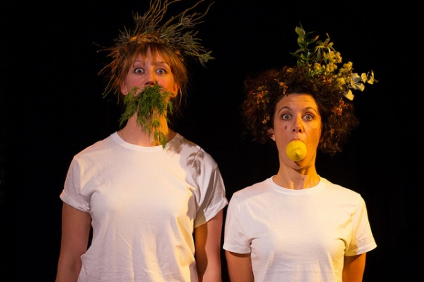 Photo Flash: Sneak Peek at The Brick's Spring 2016 Artists-in-Residence  Image