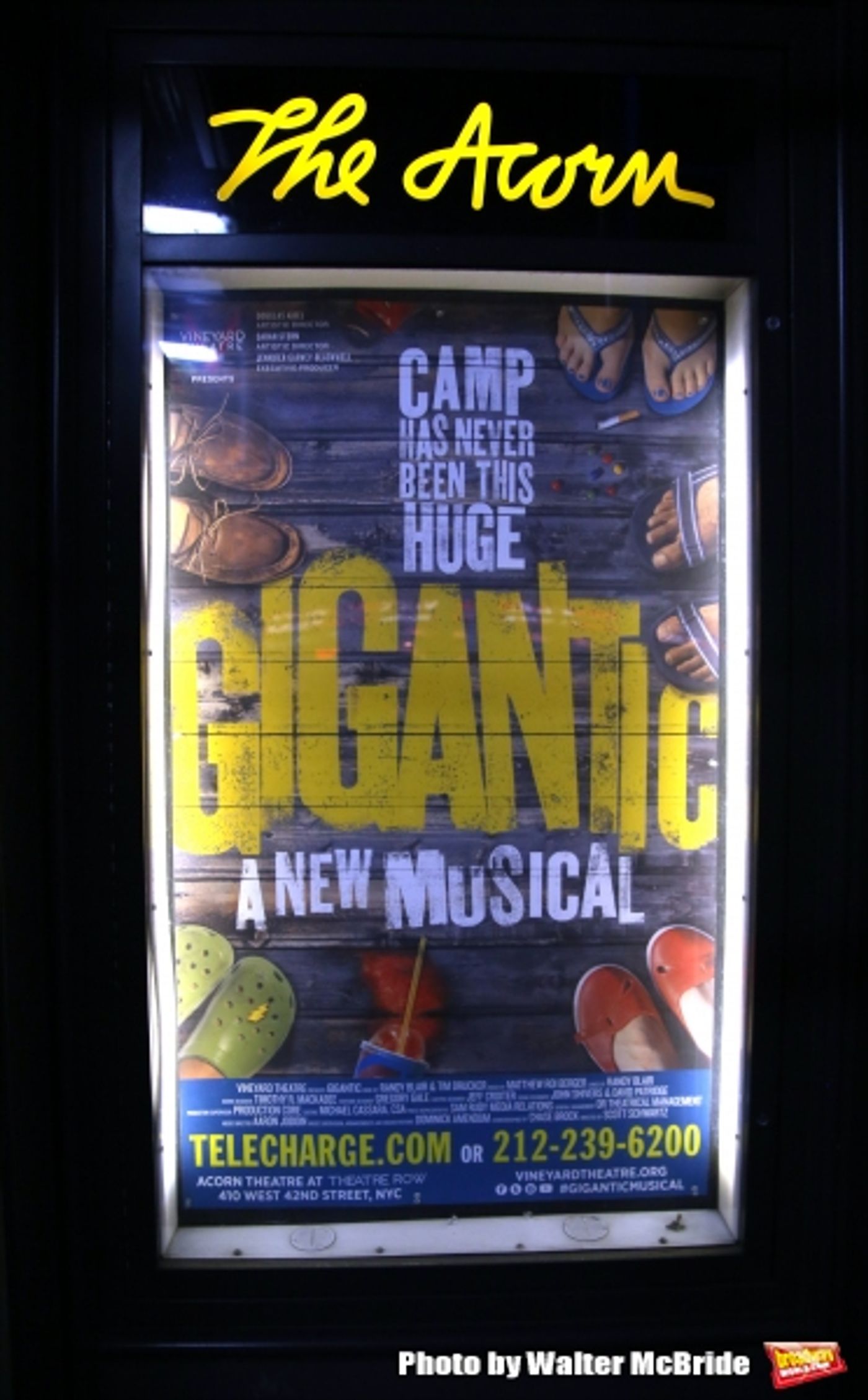 Photo Coverage: Vineyard Theatre's GIGANTIC Takes Opening Night Bows!  Image