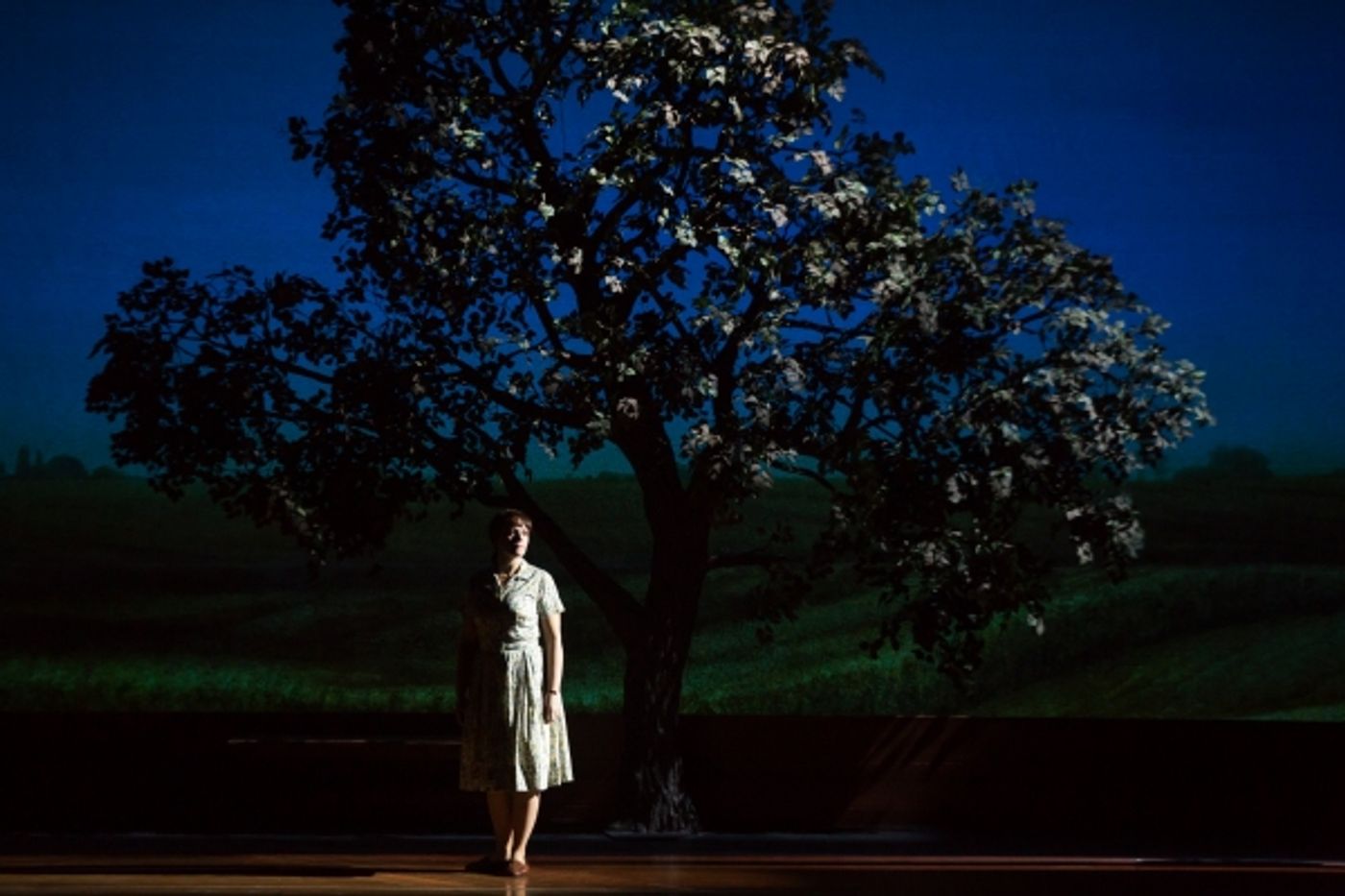 Photo Flash: First Look at Elizabeth Stanley & Andrew Samonsky in THE BRIDGES OF MADISON COUNTY Tour!  Image