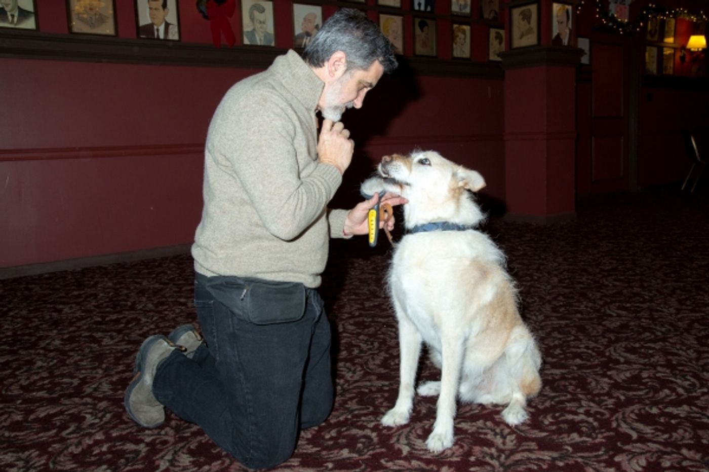 Photo Coverage: Leapin' Lizards! ANNIE Preps for NYC Return at the Kings Theatre Image