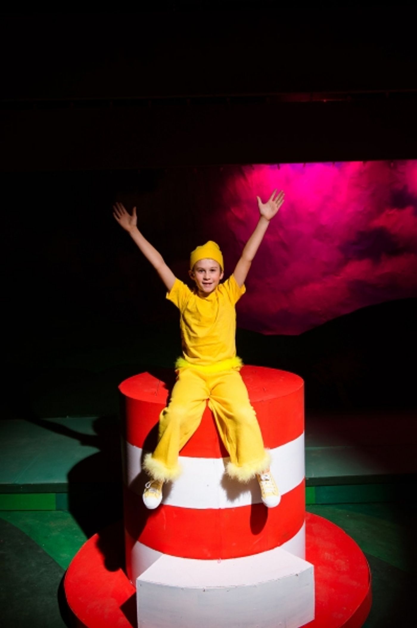 Photo Flash: First Look at SEUSSICAL at NextStop Theatre  Image