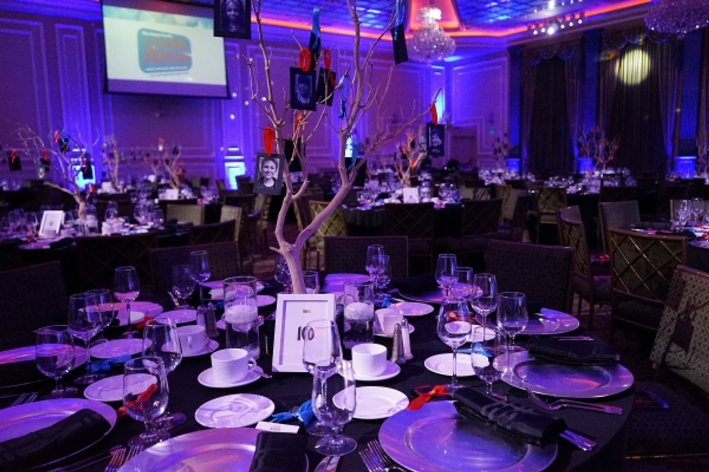 Photo Flash: Rose Marie, Corbin Bleu, and More Attend the Actor's Fund's Looking Ahead Awards  Image