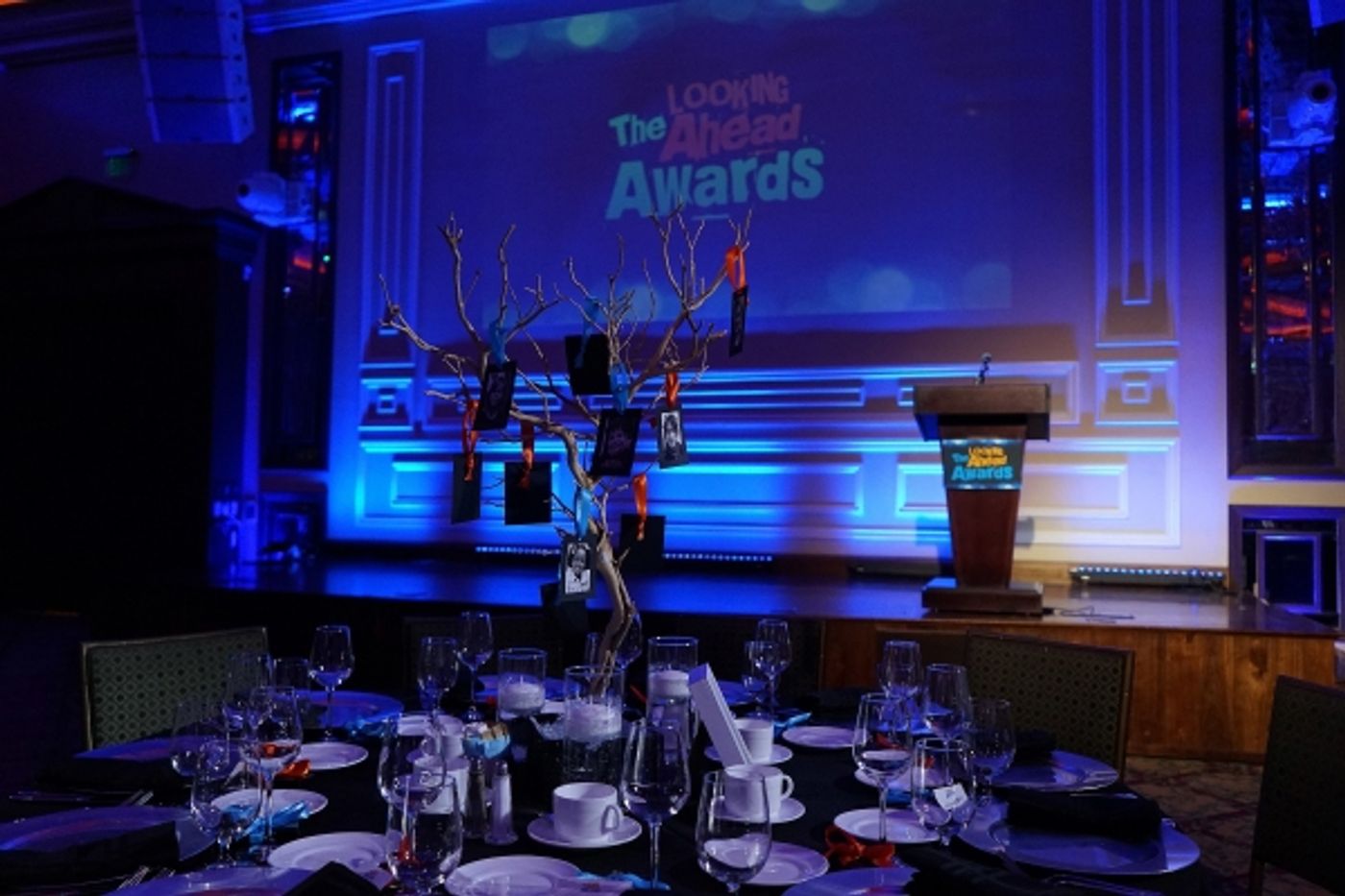 Photo Flash: Rose Marie, Corbin Bleu, and More Attend the Actor's Fund's Looking Ahead Awards  Image