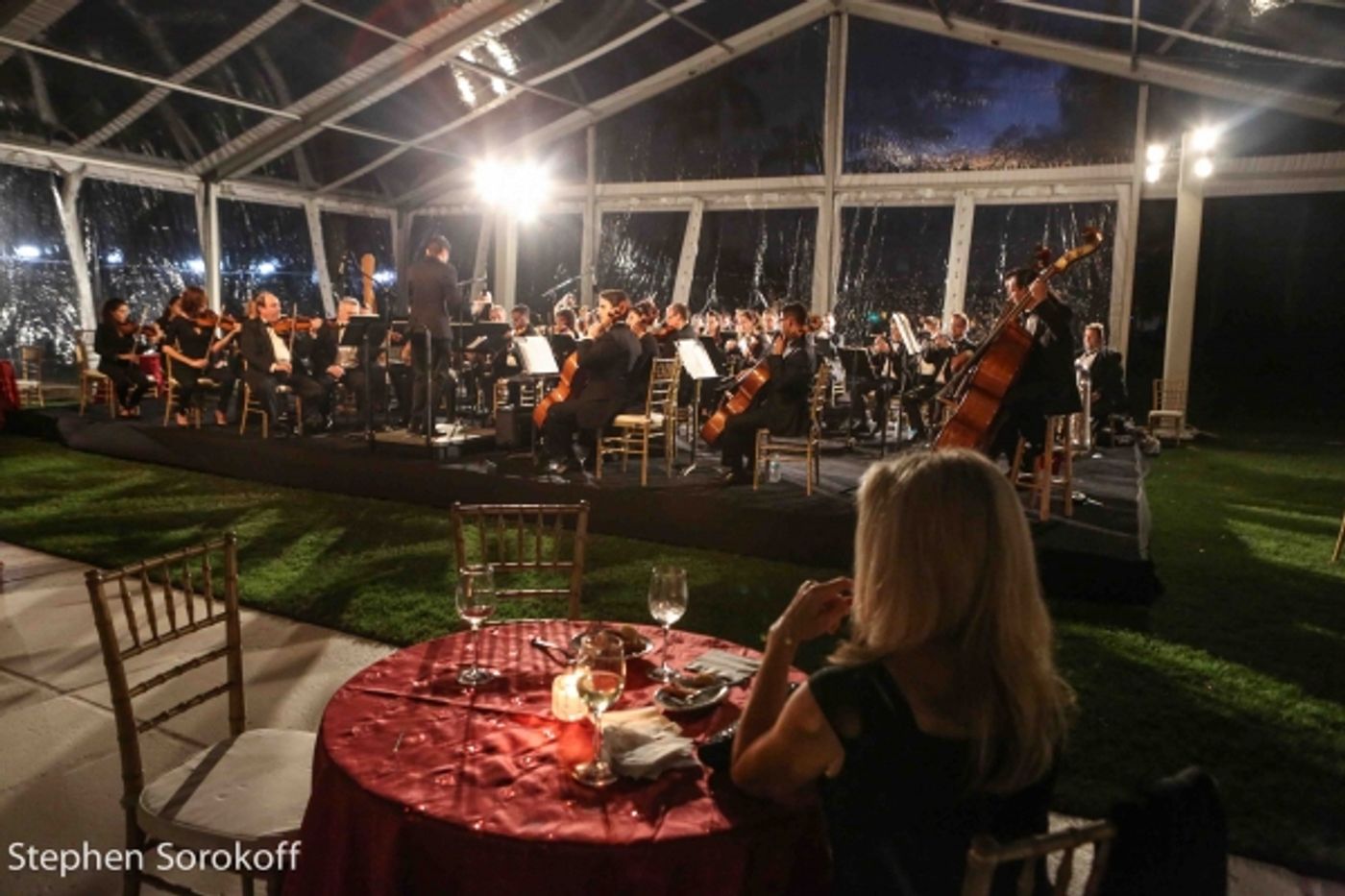 Photo Coverage: Howie Mandel Stars in American Humane Associations LADY IN RED Gala  Image