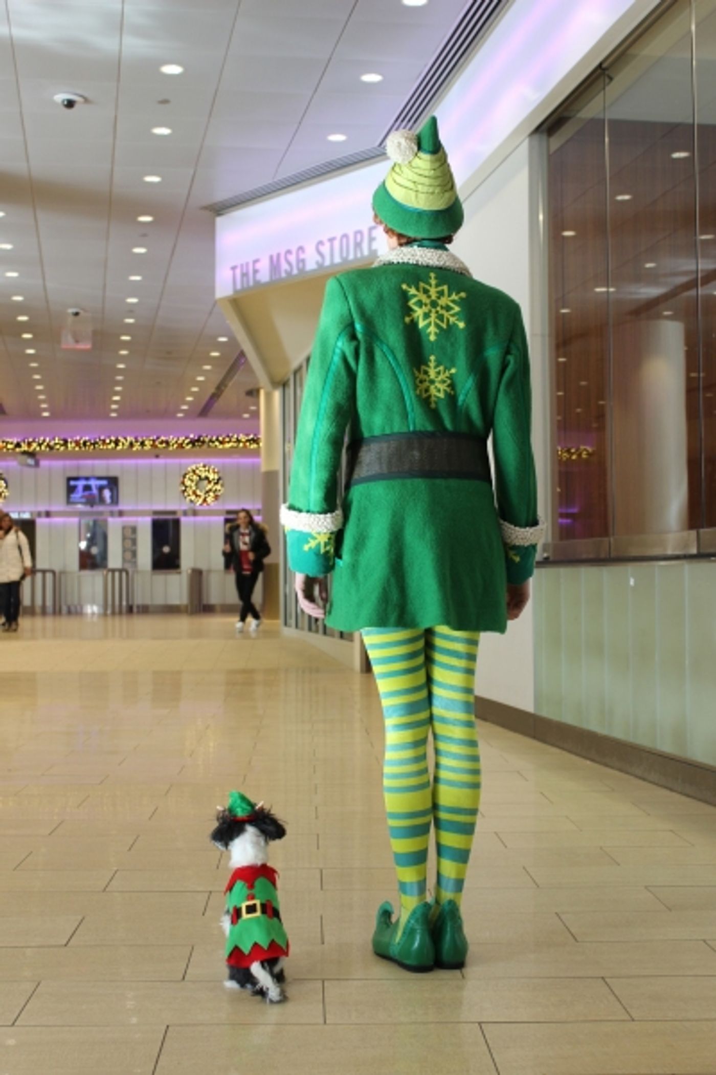 Photo Flash: Tinkerbelle the Dog Celebrates Buddy the Elf's Arrival to Madison Square Garden Photo Flash: Tinkerbelle the Dog Celebrates Buddy the Elf's Arrival to Madison Square Garden Image
