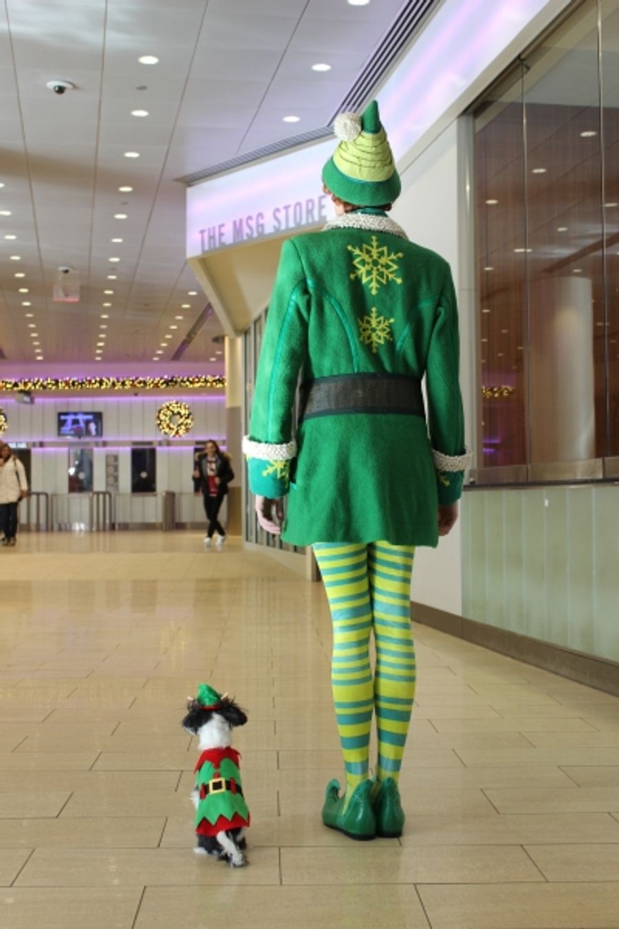 Photo Flash: Tinkerbelle the Dog Celebrates Buddy the Elf's Arrival to Madison Square Garden Image