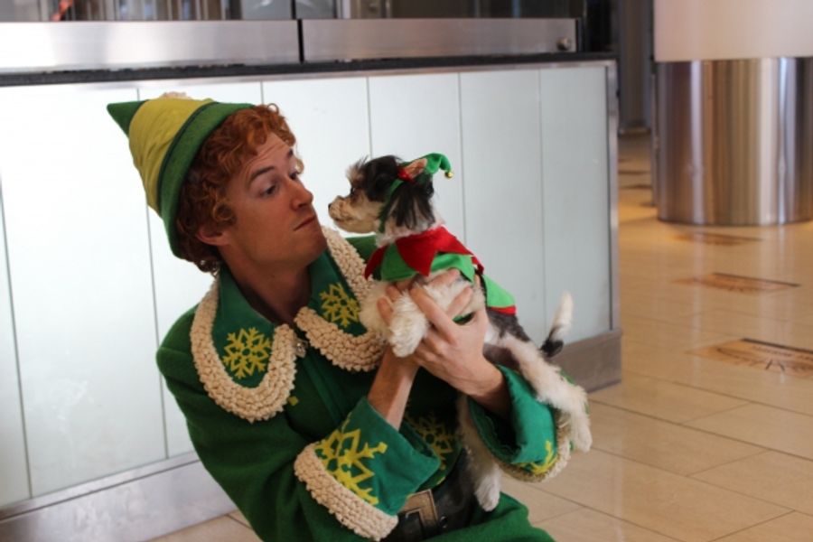 Photo Flash: Tinkerbelle the Dog Celebrates Buddy the Elf's Arrival to Madison Square Garden Image