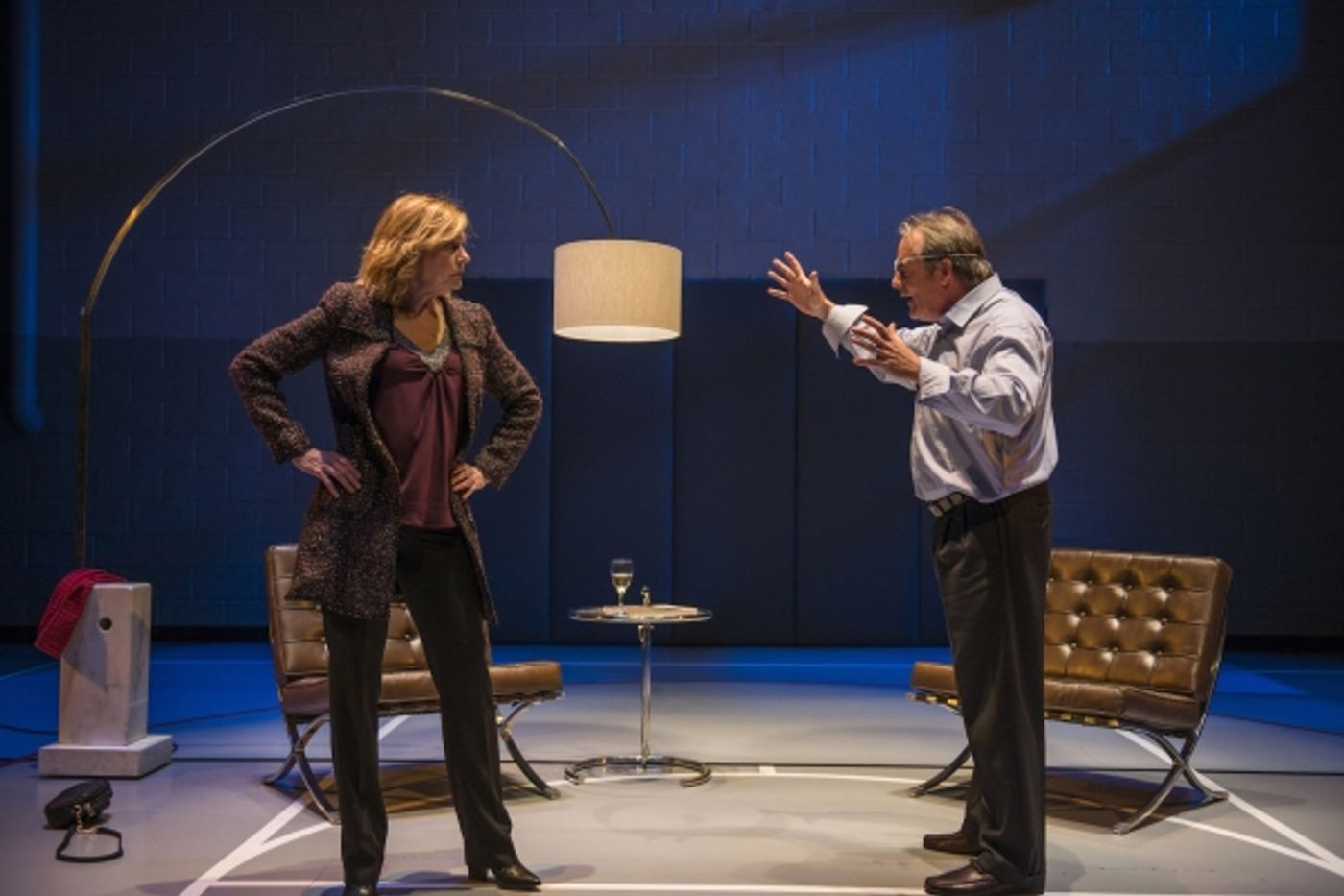 Photo Flash: First Look at Steppenwolf's Chicago Premiere of DOMESTICATED  Image