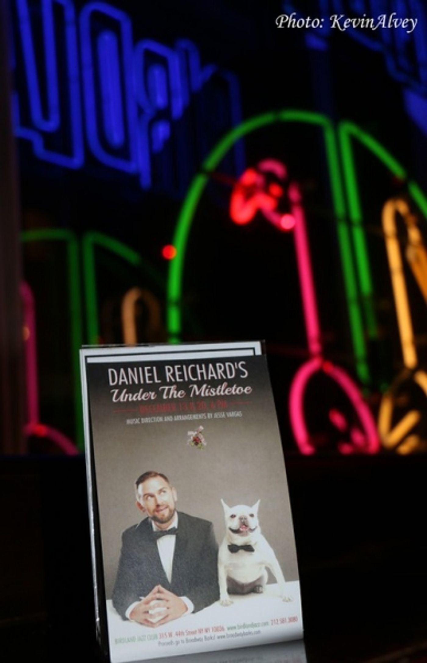 Photo Flash: Daniel Reichard Performs UNDER THE MISTLETOE! at Birdland Photo Flash: Daniel Reichard Performs UNDER THE MISTLETOE! at Birdland Image