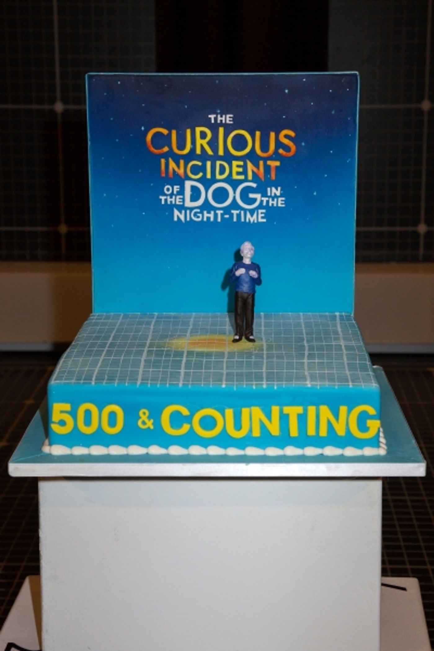 Photo Coverage: THE CURIOUS INCIDENT OF THE DOG IN THE NIGHT-TIME Celebrates 500 Performances! Photo Coverage: THE CURIOUS INCIDENT OF THE DOG IN THE NIGHT-TIME Celebrates 500 Performances! Image