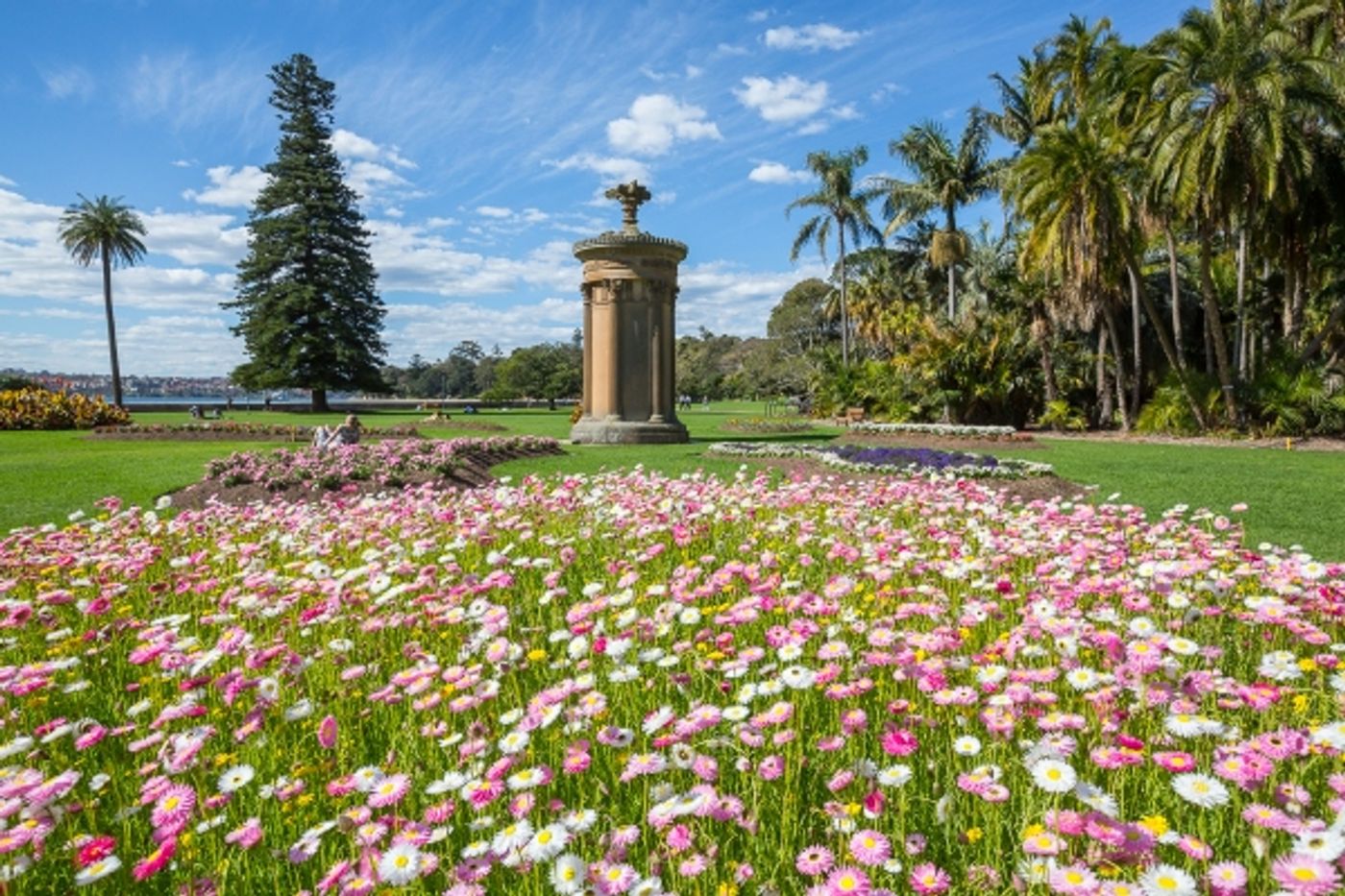 Photo Flash: Mary Rachel Brown, Campion Decent and Elise Hearst Named Finalists for Griffin's 2016 Lysicrates Prize  Image