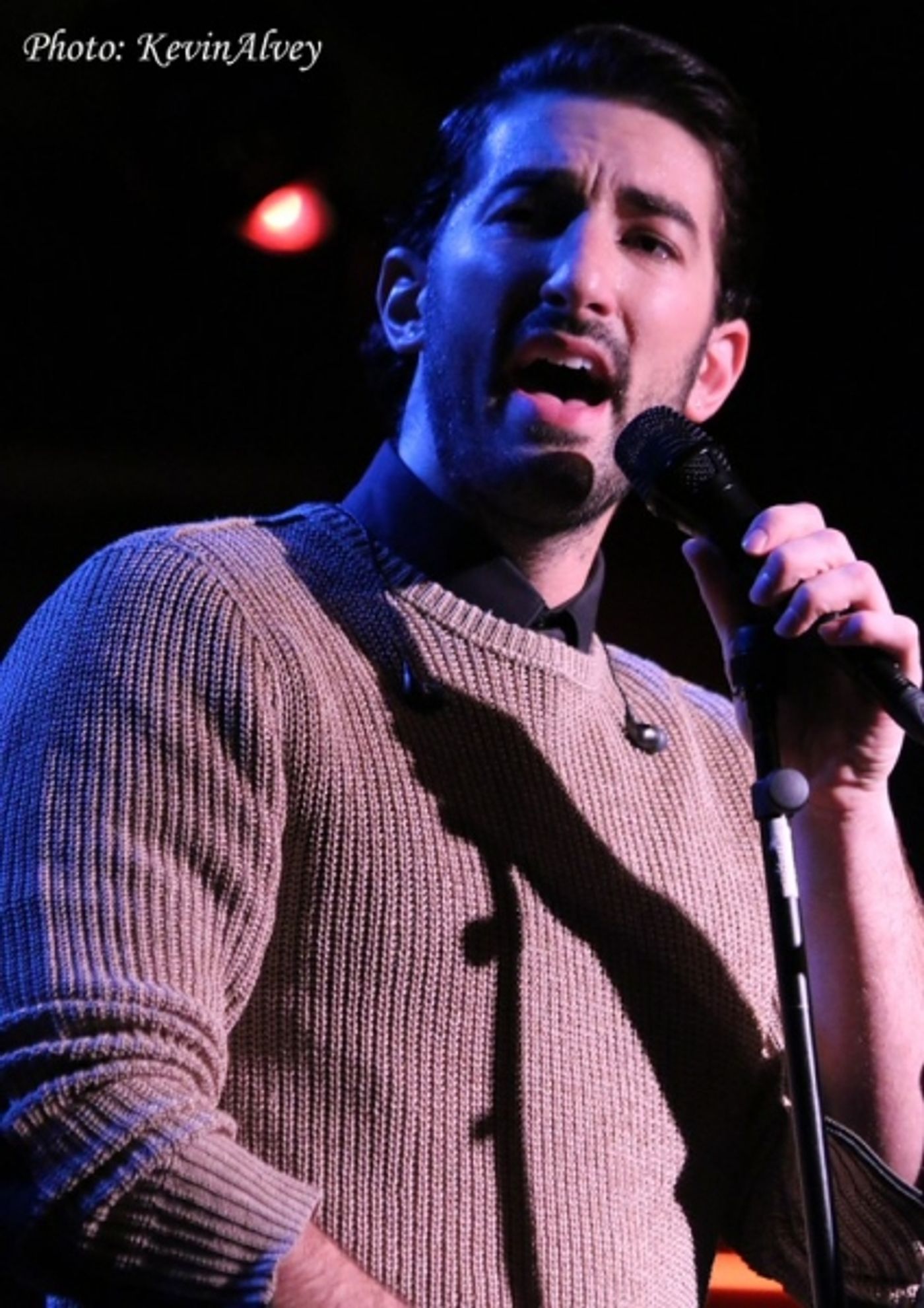 Photo Flash: Apollo Link Brings Holiday Cheer to Birdland  Image