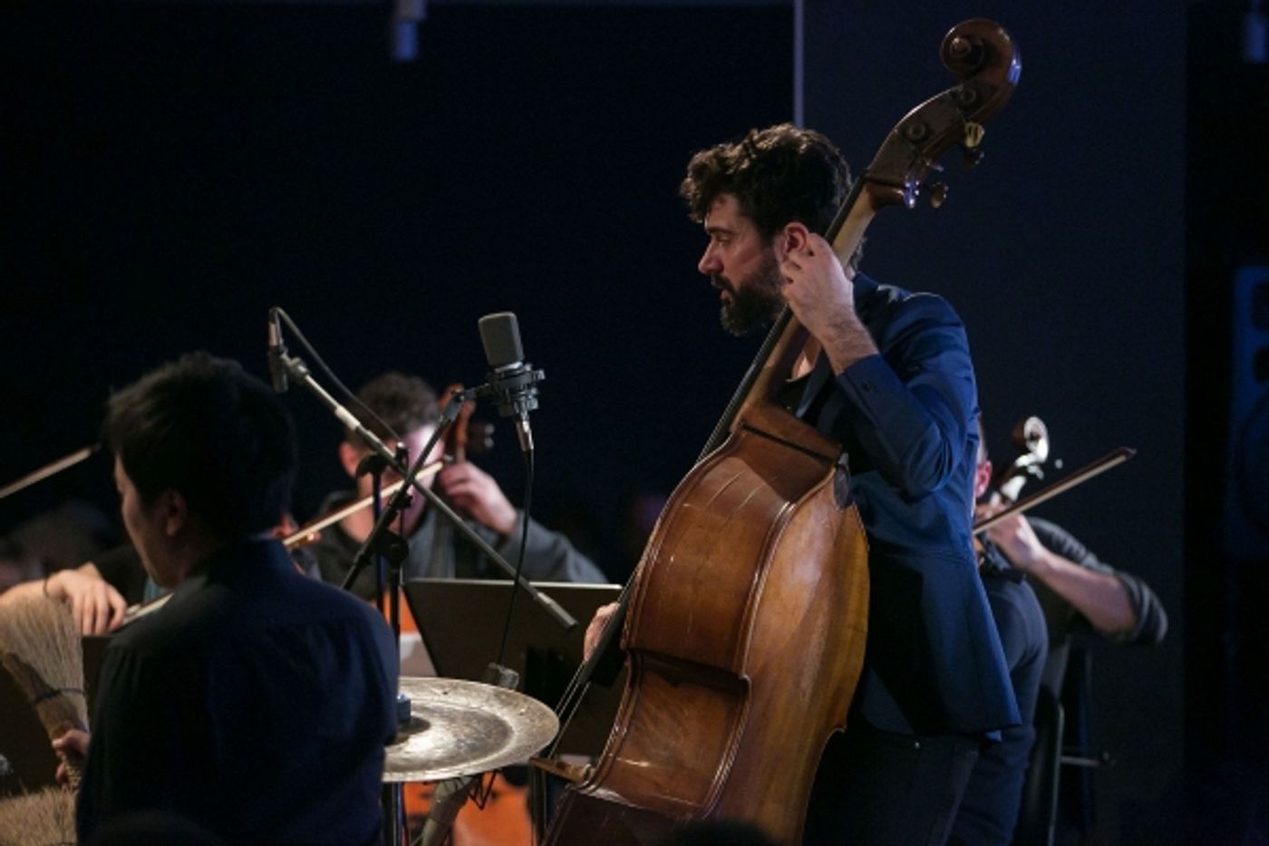 Photo Flash: CHROMA Fuses Jazz, Classical, Folk and World Music at Onassis Cultural Center NY Photo Flash: CHROMA Fuses Jazz, Classical, Folk and World Music at Onassis Cultural Center NY Image