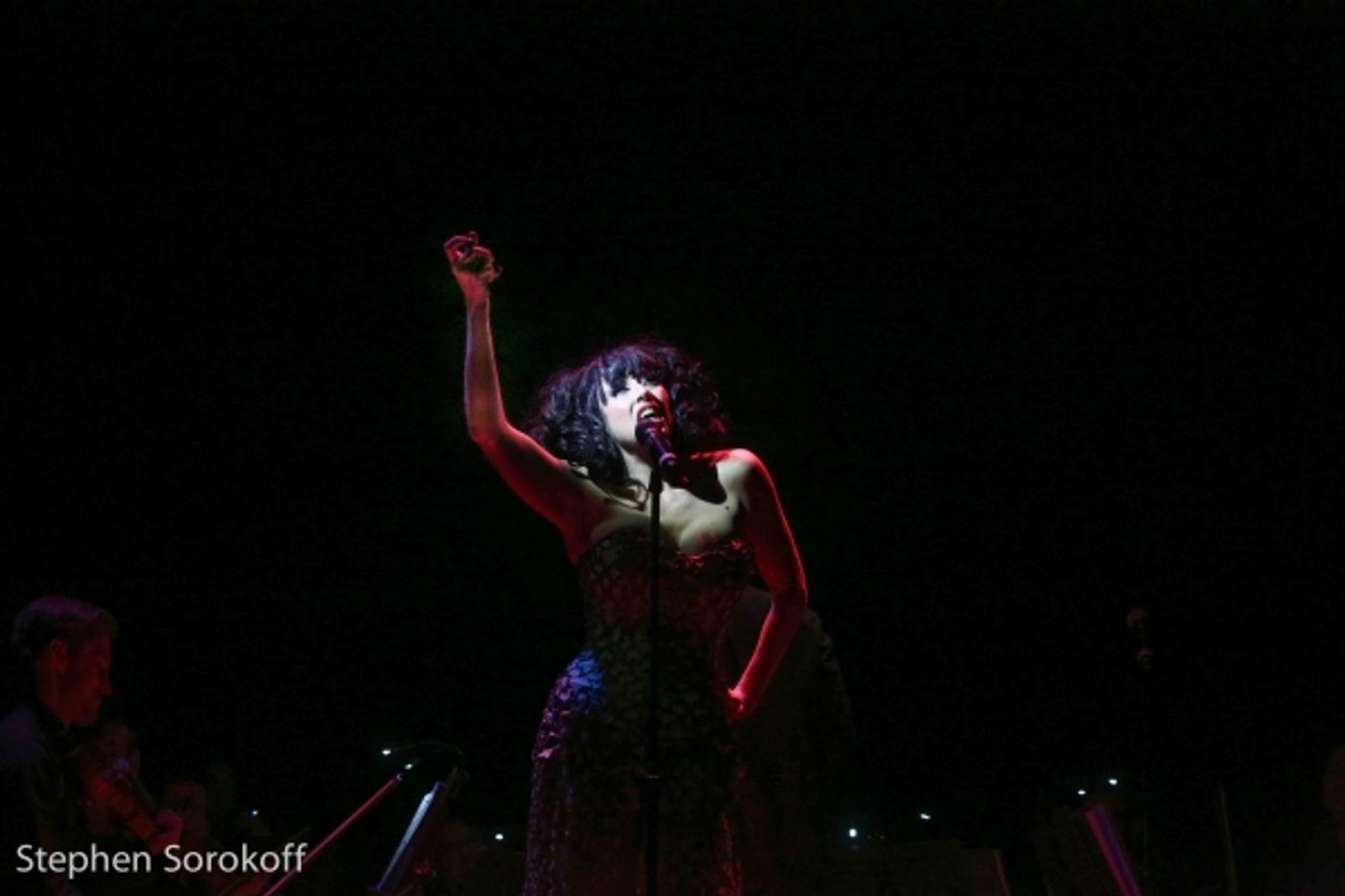 Photo Coverage: PIAF: A Centennial Celebration Plays The Town Hall  Image