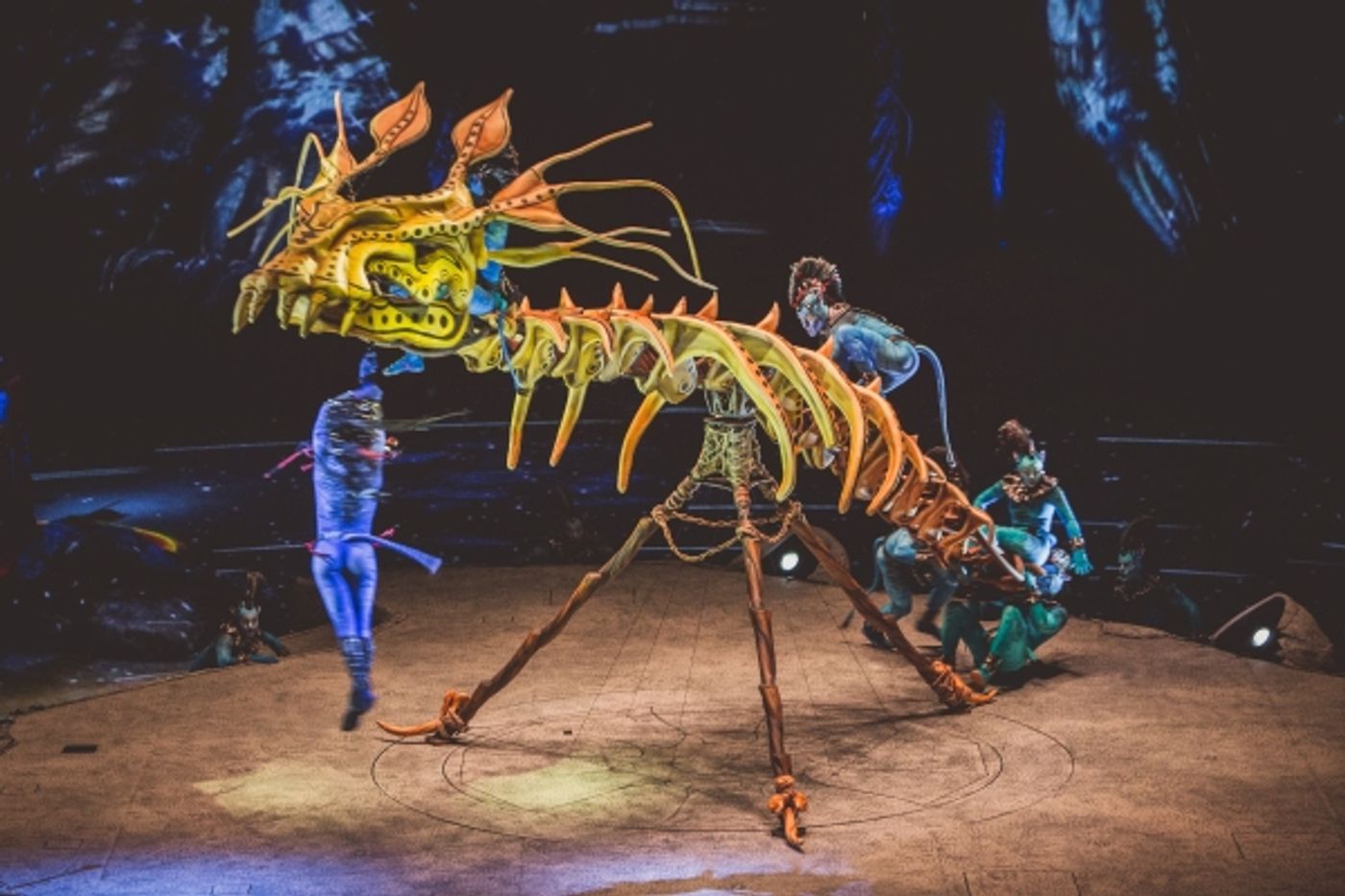 Photo Flash: First Look at Cirque du Soleil's New AVATAR-Inspired Show TORUK  Image