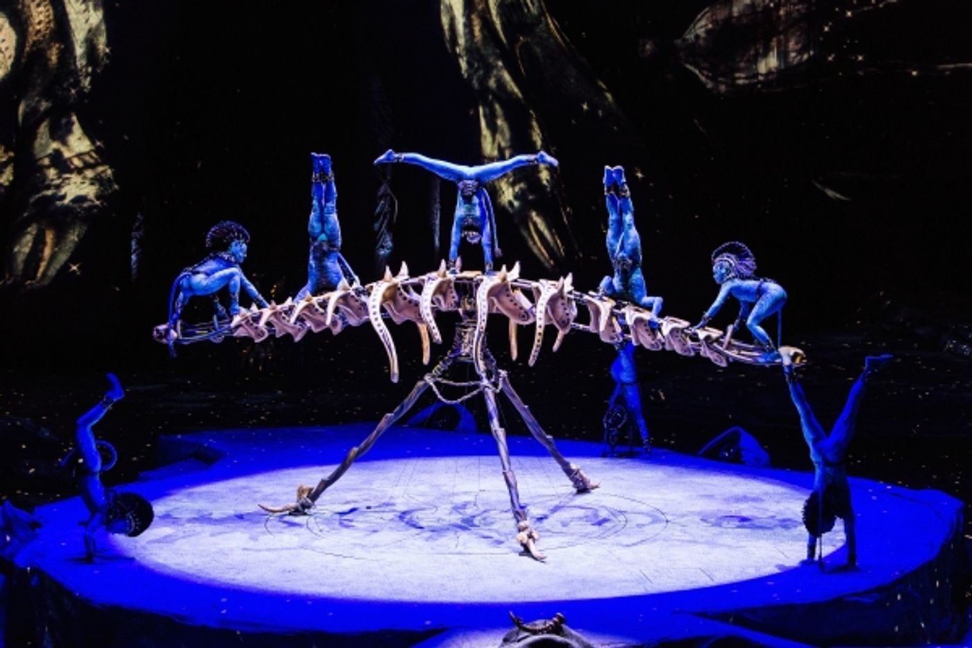 Photo Flash: First Look at Cirque du Soleil's New AVATAR-Inspired Show TORUK  Image