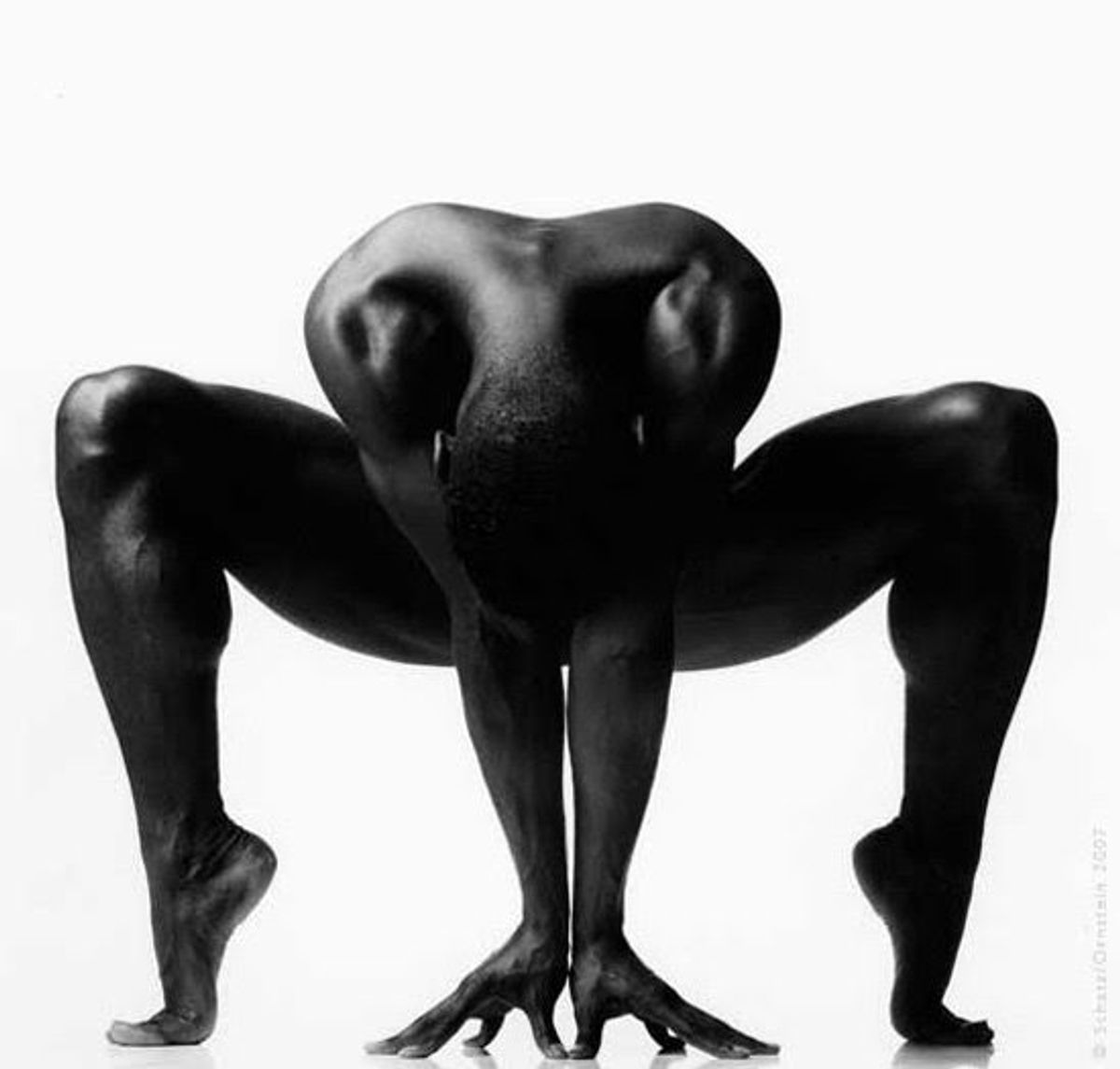 Howard Schatz Photography at 