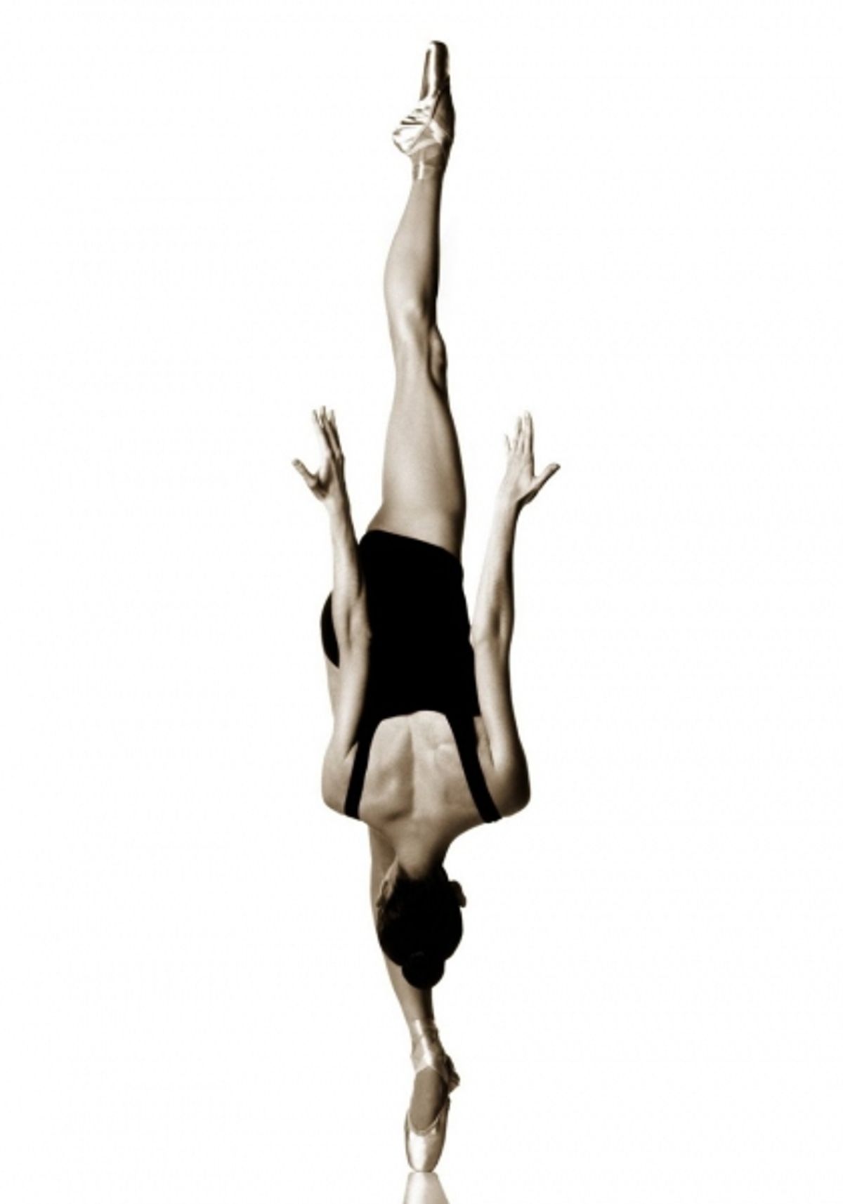 Howard Schatz Photography at 
