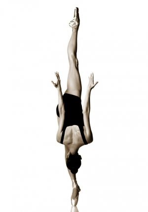 Howard Schatz Photography Photo