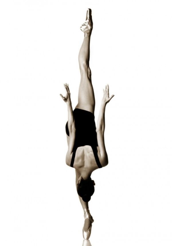 Howard Schatz Photography Photo